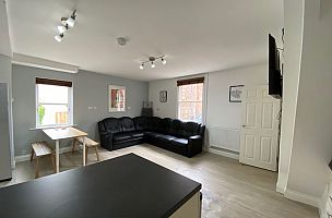 Leather Sofas 